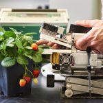 LICOR Portable Photosynthesis System measures strawberry plant physiological responses to a changing microclimate. Photo credit: Kathryn Hollinrake