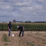 If growers don't take care of soil fertility, they can't maximize yield. They can't take care of soil fertility unless they know — and track — their soil's current nutrient levels. That's why a carefully thought-through sampling program is so important.