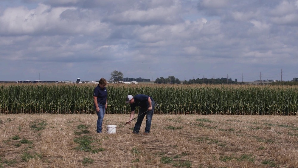 If growers don't take care of soil fertility, they can't maximize yield. They can't take care of soil fertility unless they know — and track — their soil's current nutrient levels. That's why a carefully thought-through sampling program is so important. 