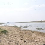 Rainfall in late September was among the largest seen in weeks and was also widespread and felt from the Eastern Slopes to the Saskatchewan border. | File photo