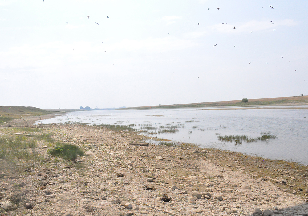 Rainfall in late September was among the largest seen in weeks and was also widespread and felt from the Eastern Slopes to the Saskatchewan border. | File photo