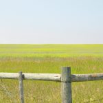 Farm Credit Canada says the national and provincial boom in farmland prices is directly correlated to producers having money in their pockets. | Alex McCuaig photo