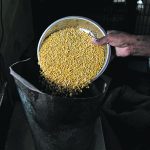 India’s Chamber of Trade and Industry recently urged the government to ban Canadian lentil imports in response to prime minister Justin Trudeau’s revelation that Canada was investigating “credible allegations” that the Indian government was involved in the shooting death of a Sikh separatist in a Vancouver suburb. | Reuters/Babu photo