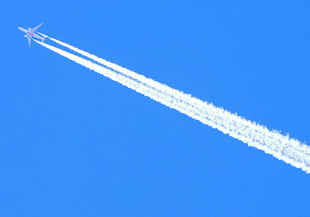 The Canadian Oilseed Processors Association says a lot is at stake as it joins efforts to have canola and soybean oil recognized as eligible feedstocks for the new sustainable aviation fuel tax credit in the United States.  |  Reuters/ Phil Noble photo