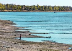 Low water levels on the Mississippi River have slowed hauling of export-bound corn and soybean barges over recent weeks as shippers lightened loads to prevent vessels from running aground and reduced the number of barges they haul at one time to navigate a narrower shipping channel.  |  Reuters/ Evelyn Hockstein photo