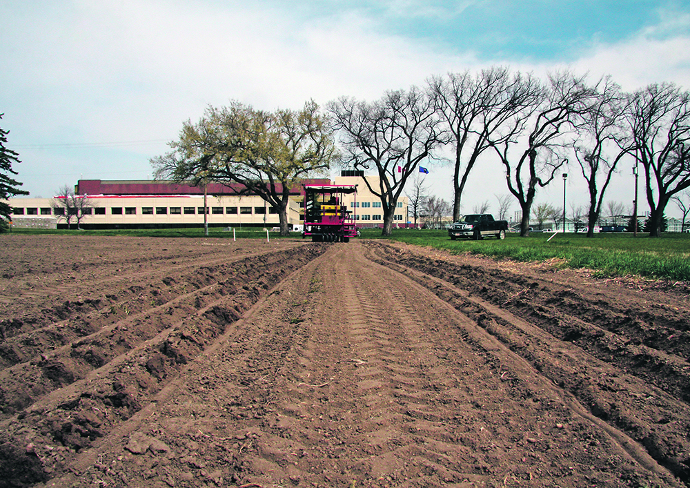 Test plots are planted at Agriculture Canada’s Lethbridge Research Centre in April 2015. The centre was established in 1906.  |  File photo