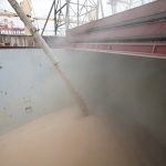 Wheat is loaded into the hold of a bulk container ship.
