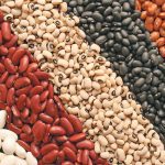U.S. growers produced 1.02 million tonnes of all classes of beans last year. Acreage was down 5.3 percent, while average yield fell 7.1 percent,according to the U.S. Department of Agriculture. | File photo