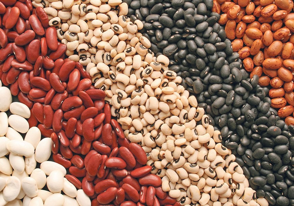 U.S. growers produced 1.02 million tonnes of all classes of beans last year. Acreage was down 5.3 percent, while average yield fell 7.1 percent,according to the U.S. Department of Agriculture. | File photo