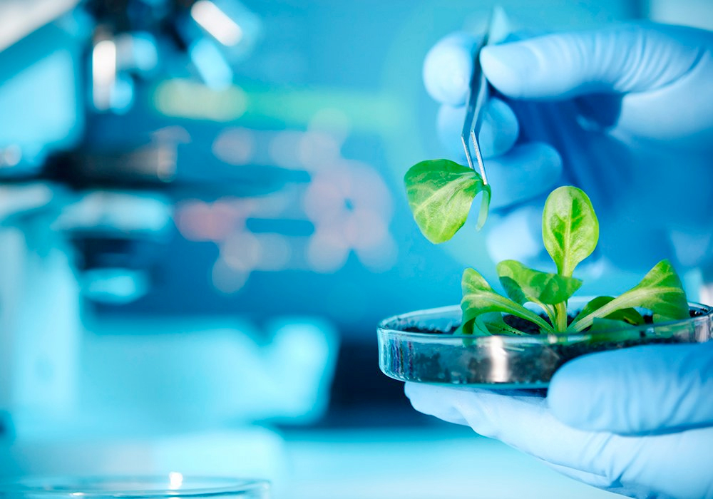 As part of its mandate, the Manitoba Crop Alliance invests check-off dollars into research projects to help Manitoba farmers become more productive and sustainable. Fulfilling that mandate is not easy because the group can't find scientists to do the necessary research. | Getty Images
