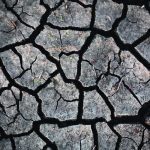 Agriculture Canada’s Agroclimate Impact Reporter survey includes checkbox questions on the state of flooding, frost, heat stress and severe weather on the farm, as well as sections where farmers can write about the tangible impacts caused by weather events. | File photo