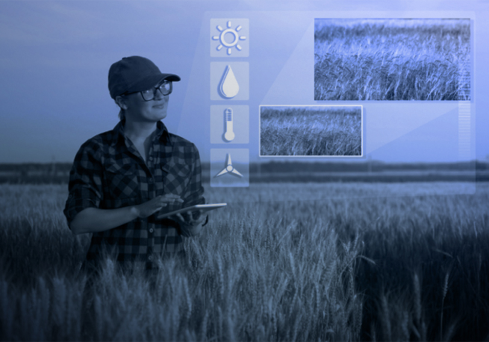 The smart farm is located at Area X.O, the research and development complex for next-generation smart mobility, autonomy and connectivity. It was established by Invest Ottawa and the City of Ottawa. | Screencap via areaxo.com