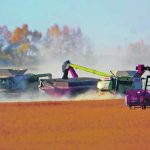 Two combines harvest canola near Kindersley, Sask., in the middle of last month. The area was experiencing extreme drought as of Sept. 30. | Jace Graham photo
