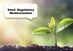 The CFIA is looking to update seed regulations to "reduce complexity, protect producers and consumers by strengthening existing rules and adapt to future technical advances and innovation." | Screncap via twitter.com/@InspectionCan