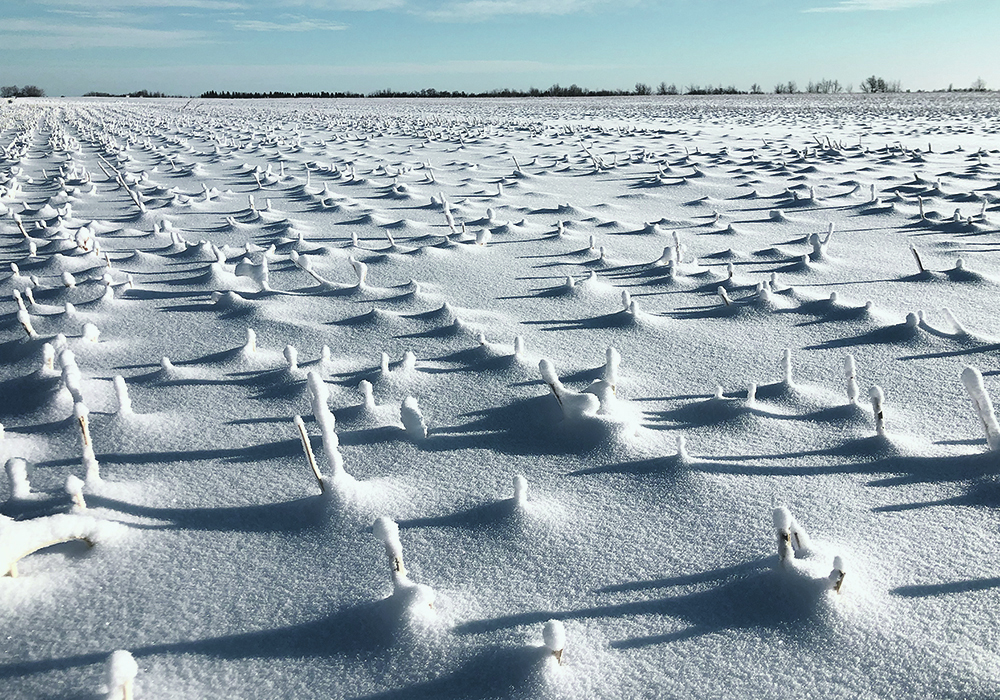 Most people on the Prairies would probably agree that winter doesn’t really arrive until there is snow on the ground, or snow has fallen and temperatures are cold enough that it doesn’t really melt. | File photo