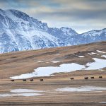 The premier said improving irrigation infrastructure, especially to be able to capture more mountain snowpack runoff, is a long-term solution to the issue. | Mike Sturk photo