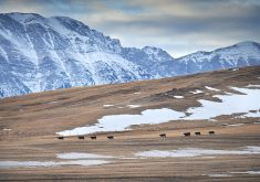 The premier said improving irrigation infrastructure, especially to be able to capture more mountain snowpack runoff, is a long-term solution to the issue. | Mike Sturk photo