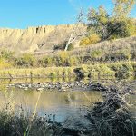 The author argues that opponents of an attempt to revive a coal mining project in Alberta’s eastern slopes, such as downstream water drinkers, risk being shut out of the process by the Alberta Energy Regulator. | Alex McCuaig photo