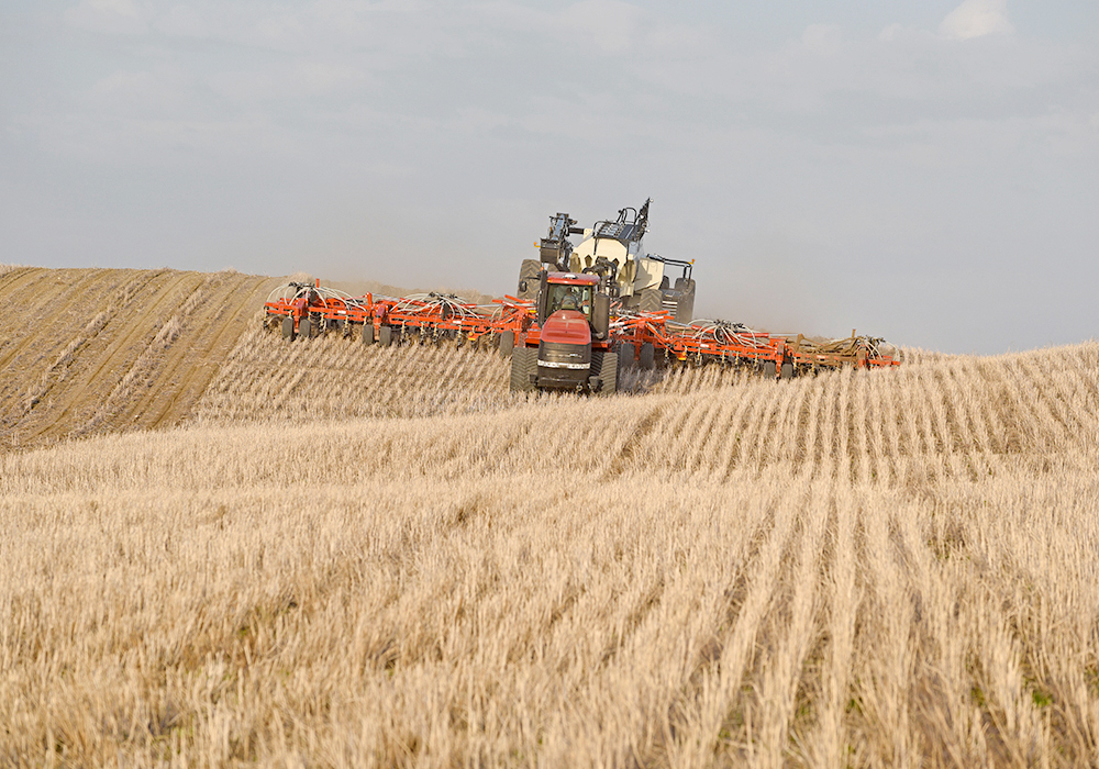While a lot can happen between now and seeding time, prices at the conclusion of harvest are the first seeding intention indicators. | File photo