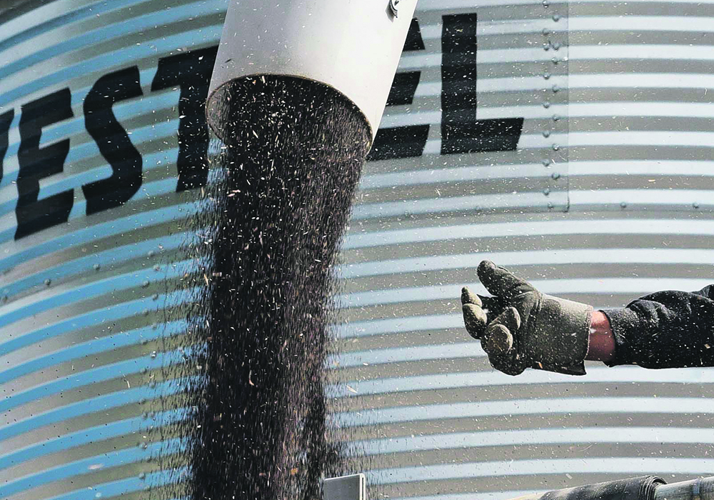MarketsFarm analyst Mike Jubinville is advising growers to wait until canola prices climb another $1 per bushel before making any more incremental sales. |  File photo