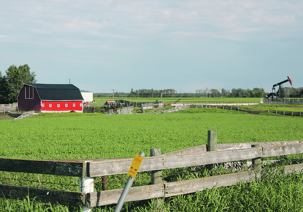 "We can't look at ag commodities in isolation anymore," said Owen Wagner, senior analyst with Rabobank. "We always have to have an eye on petroleum in the background." |  File photo