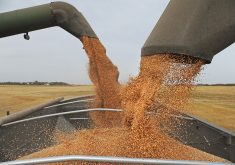 It was a slow start to harvest, with no significant percentage completed until the third week of August. However, by the first week of September, producers were beginning to pull ahead of the five-year average, a trend that continued to last week. | File photo
