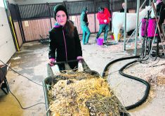 Ella Sellman of McCreary, Man., moves a cart of manure during last week’s Manitoba Ag Ex show in Brandon.  |  Ed White photo