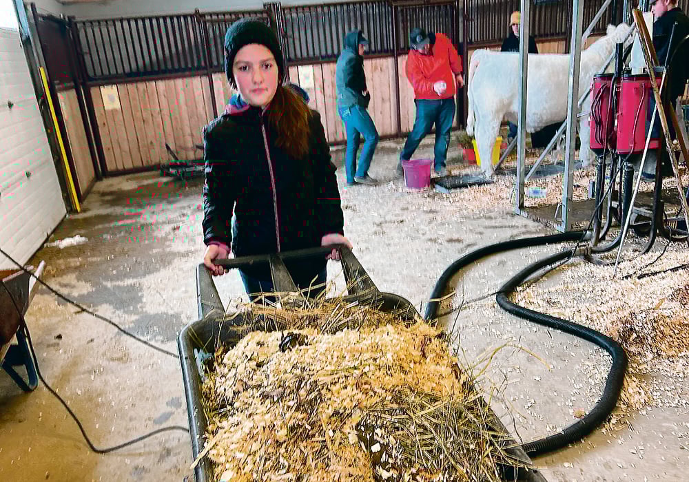 Ella Sellman of McCreary, Man., moves a cart of manure during last week’s Manitoba Ag Ex show in Brandon.  |  Ed White photo