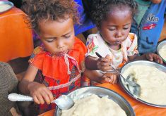 Approximately 349 million people in 82 countries face food insecurity and 50 million are on the brink of famine.  |  Reuters/Joel Kouam photo