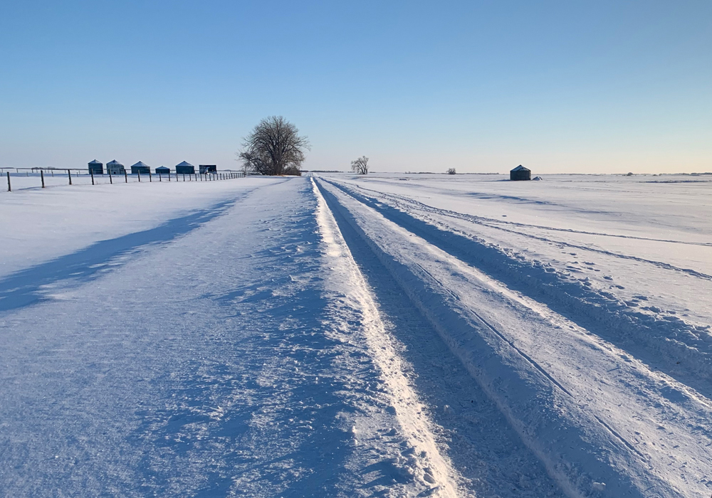 Getting more than 30 cm of snow in one day is extremely rare, with a probability of about 0.1 percent, which means about one in every 1,000 snowfall days or once every 20 to 40 years. | File photo