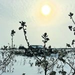 The Jackson Pipestone Prairie and Wetlands in southwestern Manitoba is an example of the vulnerable ecosystems threatened by today’s economics. | Ed White photo