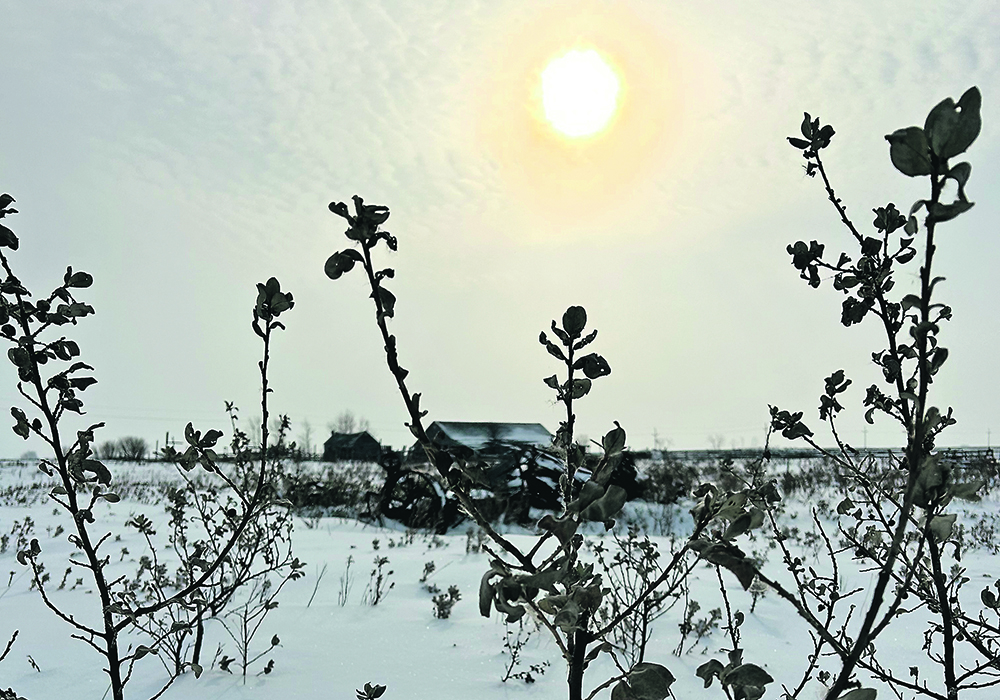 The Jackson Pipestone Prairie and Wetlands in southwestern Manitoba is an example of the vulnerable ecosystems threatened by today’s economics.  |  Ed White photo