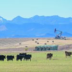 An analyst calls crude oil the “800-pound gorilla in the room” when it comes to ag commodity markets. | Mike Sturk photo