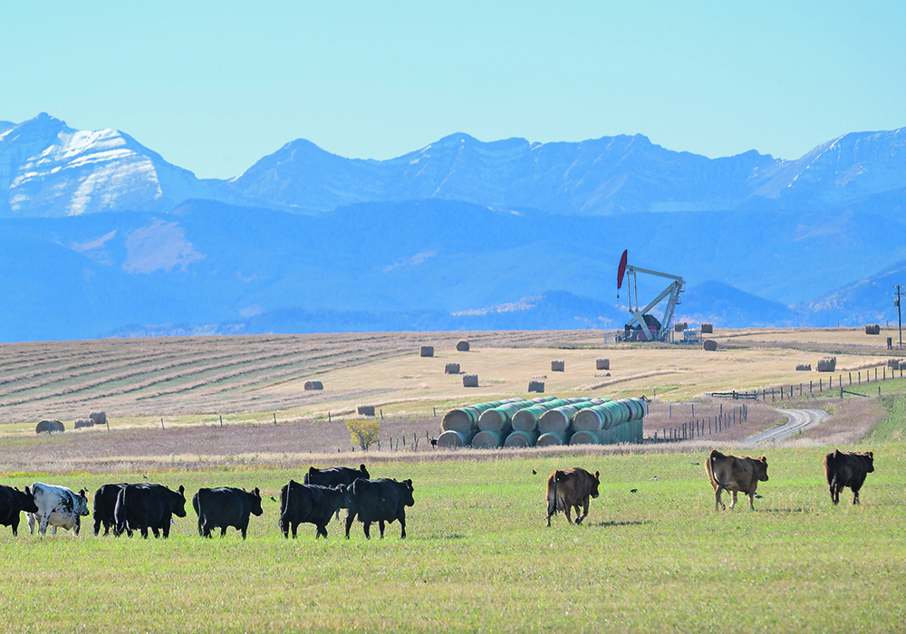 An analyst calls crude oil the “800-pound gorilla in the room” when it comes to ag commodity markets.  |  Mike Sturk photo