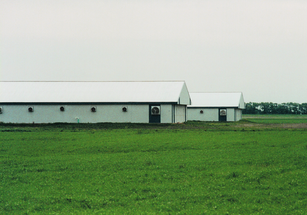 A private member’s bill has been amended in the Senate to remove barns and greenhouses from carbon tax exemption.  |  File photo