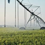The Saskatchewan government’s $4 billion project aims to spread the benefits of irrigation to hundreds of thousands more acres than today’s 104,000. | File photo