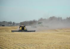 Combines worked the field swiftly, completing the harvest in three and a half hours with the help of large headers. | Les Dunford photo