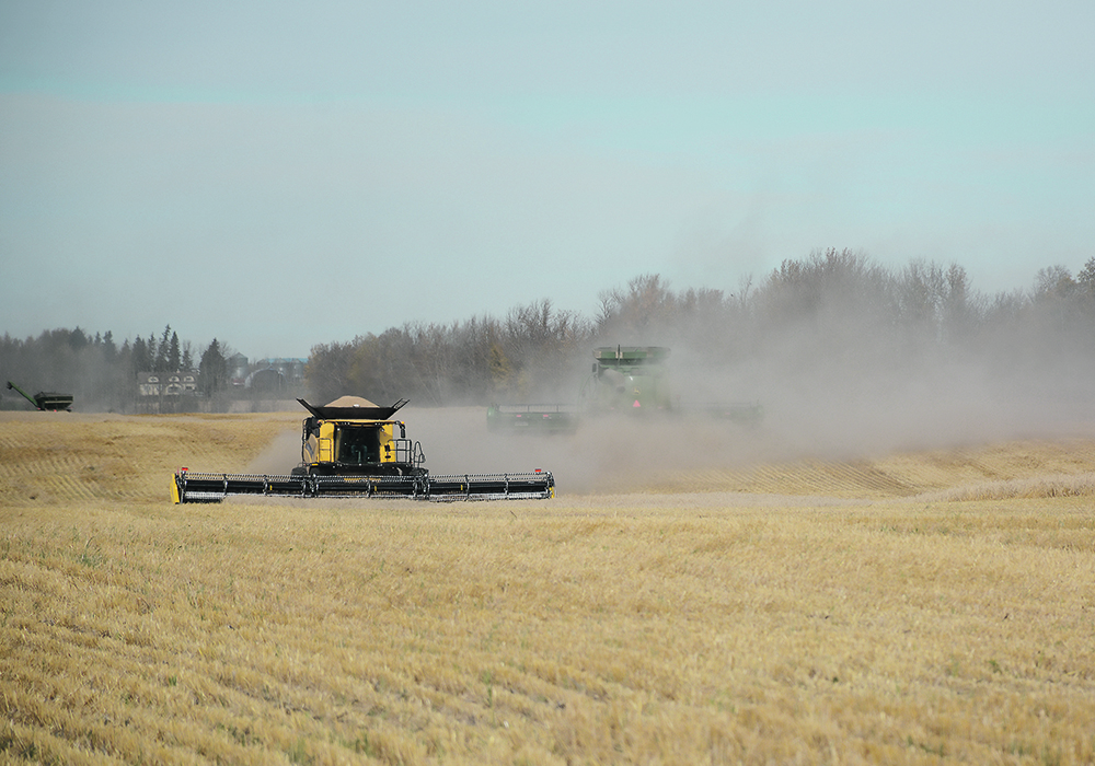 Combines worked the field swiftly, completing the harvest in three and a half hours with the help of large headers. | Les Dunford photo
