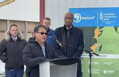 The Nature+ program will help about 75,000 food-insecure farmers in environmentally vulnerable areas of Ethiopia, Kenya, Mozambique and Zimbabwe to develop farming systems that can withstand the effects of weather volatility. | Ed White photo