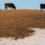 I lean toward a warmer than average end to 2023, with the best chances of above average temperatures over the western half of the Prairies. | File photo