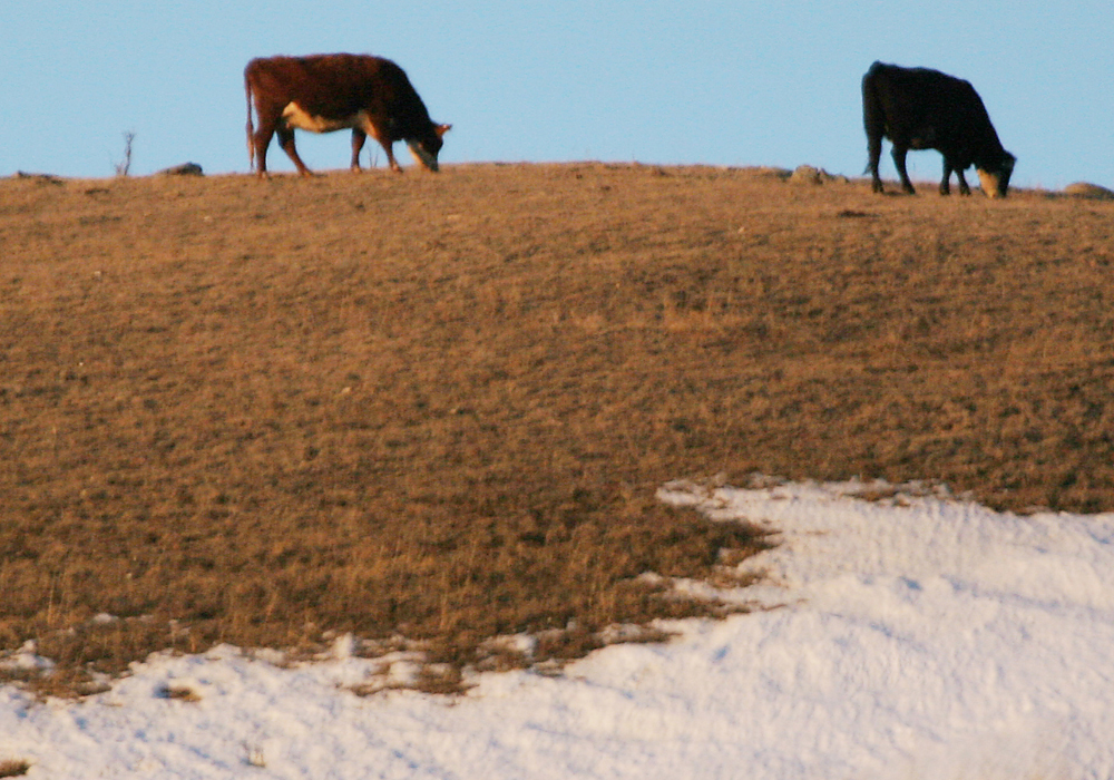 I lean toward a warmer than average end to 2023, with the best chances of above average temperatures over the western half of the Prairies. | File photo