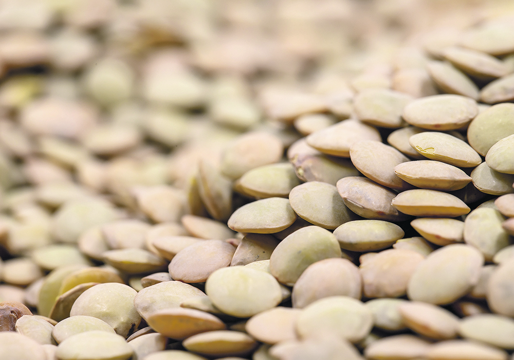 The premium for large green lentils over reds has averaged US$414 per tonne since the start of the 2023-24 marketing year, which is more than double last year’s average of $202.  |  Getty Images