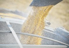 The big shock in today's WASDE report was contained in the new U.S. corn yield estimate of 174.9 bushels per acre, up from October’s 173. | File photo