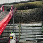 The organizers of Colere Collegiate Institute in Taber, Alta., hope the school will train farm workers to perform jobs such as digging sugar beets and topping off storage bins. | Michel Camps photo