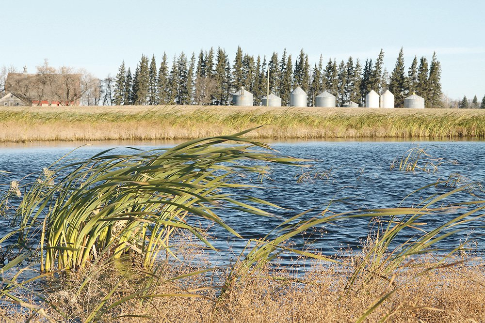 The standing agriculture committee's report recommendations include more recognition and assistance to help farmers continue their stewardship. | File photo