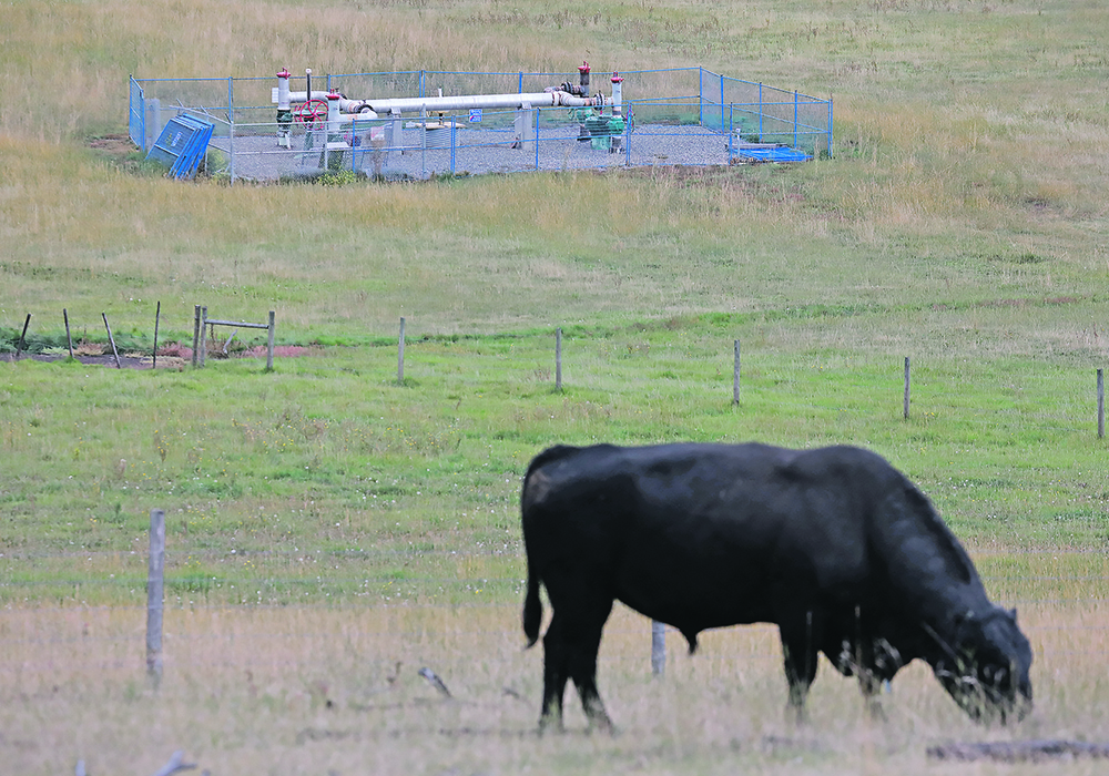 Infrastructure of the Westcoast Transmission System, which delivers natural gas to the U.S. Pacific Northwest, is seen in a ranch meadow near Loon Lake, B.C., earlier this fall. The U.S. Energy Information Administration said recently there is an improved likelihood that the global natural gas supply will meet demand this winter.  |  Reuters/ Chris Helgren photo