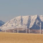AUC has started an inquiry into renewable energy development at the province’s request, after the provincial government announced in August a pause on building new solar and wind farms. | File photo