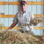 Ernest Anderson shows off an experimental yellow pea crop he threshed by hand that is being tested on his farm in the far southwestern corner of Saskatchewan. | Lisa Anderson photo