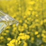 Canadian exporters sent a record 2.6 million tonnes of canola oil south of the border in 2022-23 and that number is expected to rise considerably in future years. | File photo