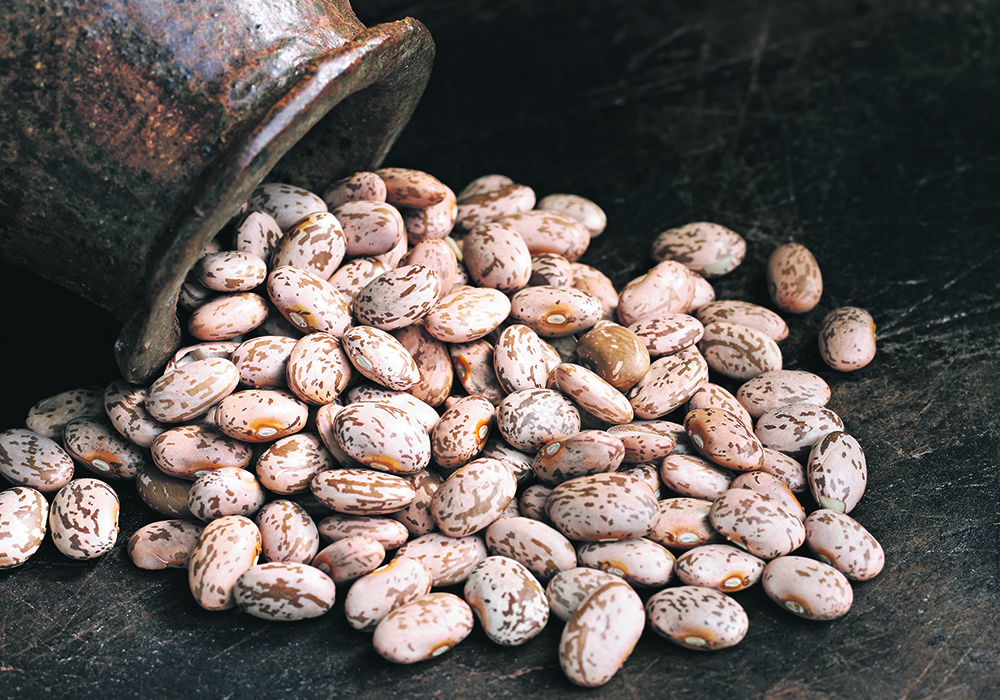 The dire situation in Mexico is creating a huge opportunity for exporters of black beans and pinto beans. | Getty Images